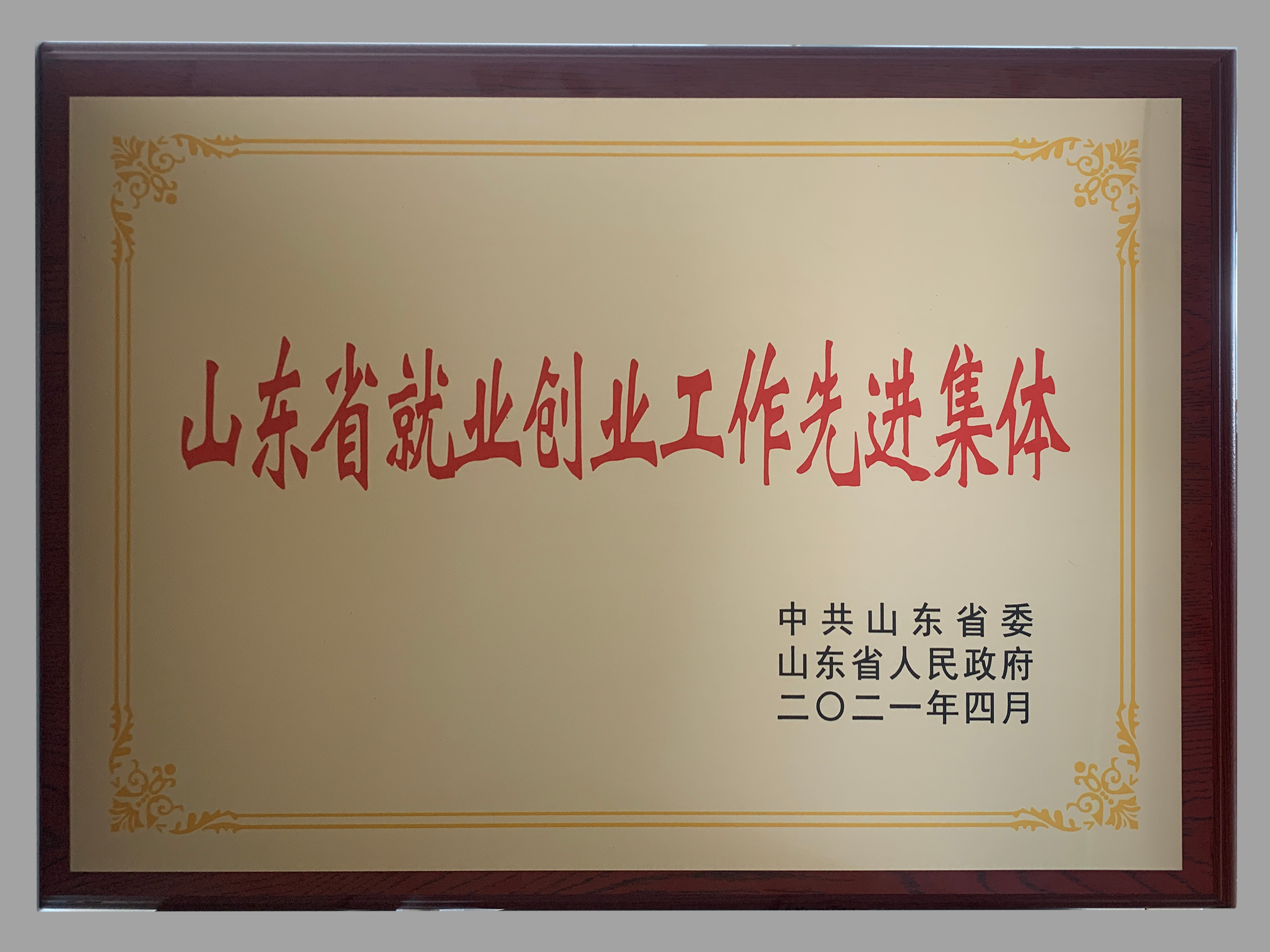 山東省就業(yè)創(chuàng)業(yè)工作先進單位